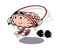 cervello che si allena